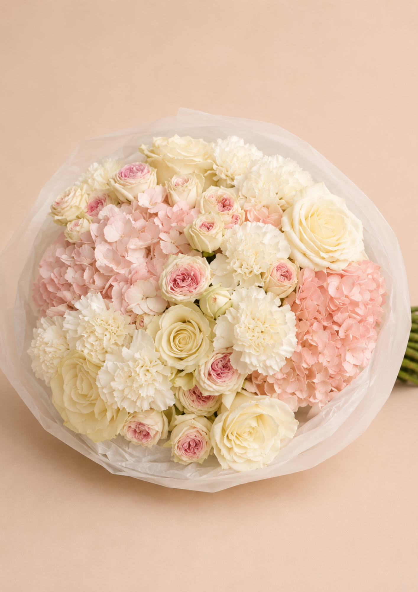 I Hortensias.