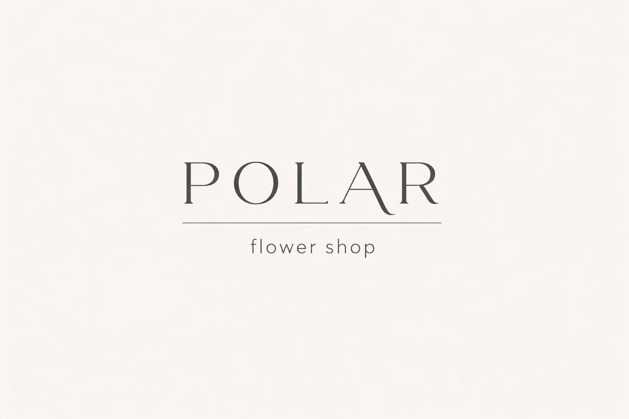 Polar Atelier Presentación